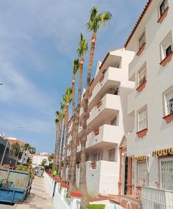 trimming malaga trees marbella